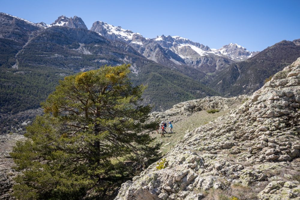 Escalade en grande voie – Image 11