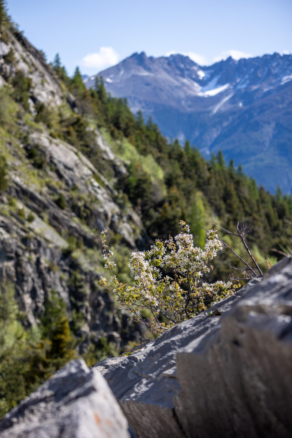 Stage escalade 3x 3h – Image 11